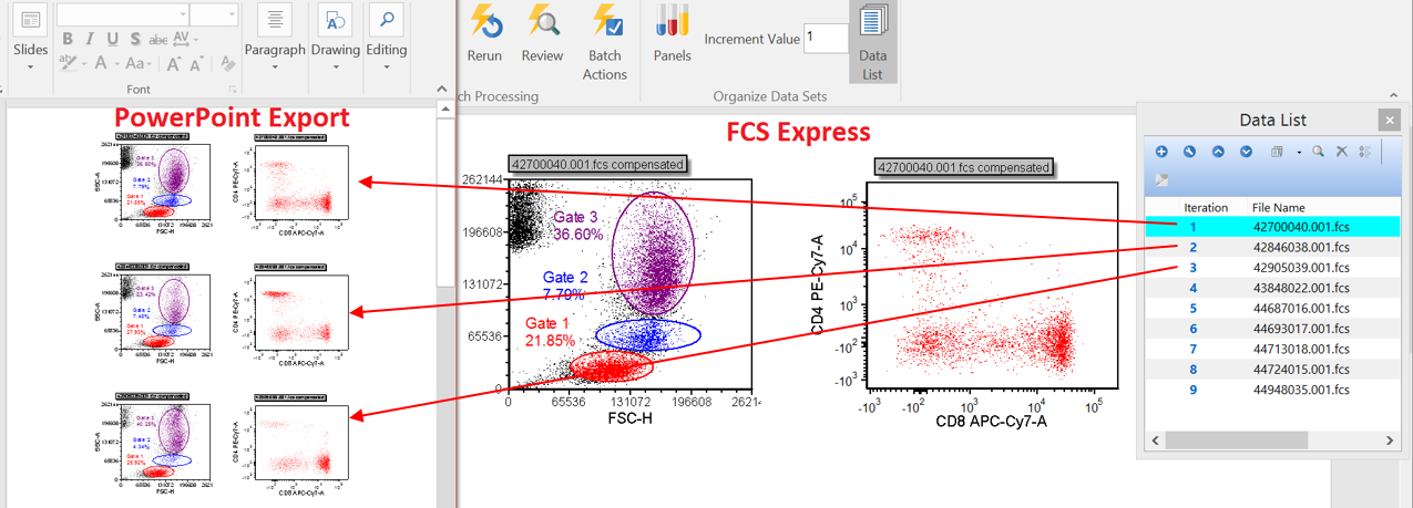 Example of batching a set of data files from the data list to PowerPoint using the Custom Grid feature. Notice that one set of plots was defined in FCS Express and a series of tiled plots have been exported to PowerPoint in one column in three rows. 