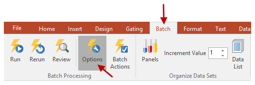 Figure 12 - Batch Processing Options Button