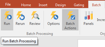 Figure 6.  Running a Batch Process.