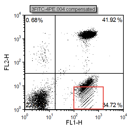 Figure T8.21 -  Digitization errors after compensation can be seen in the red box. Please refer to the Compensation Digitization Errors tutorial to correct this type of error.