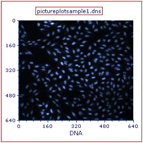 Figure T26.6  The DNA Image Channel Associated with pictureplotsample1.dns