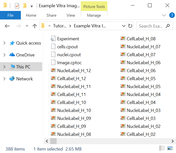 Figure T24.6A  cells.cpout, nuclei.cpout, and Image.cptoc Files were Created. Experiment.ini was Downloaded.