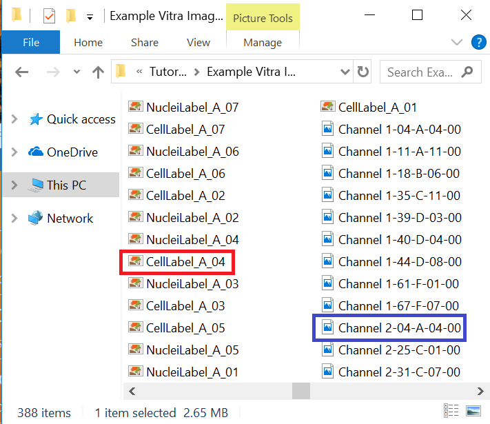 Figure T24.6B  NucleiLabel and CellLabel image mask .tiff Have Been Created for Every Well of the Plate. The File Names Reflect the Row and Column Numbers for the CellLabels (red rectanglel) and Channels (blue rectangle).