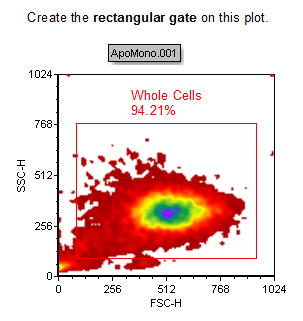 Figure T4.6  Newly Created Rectangular Gate