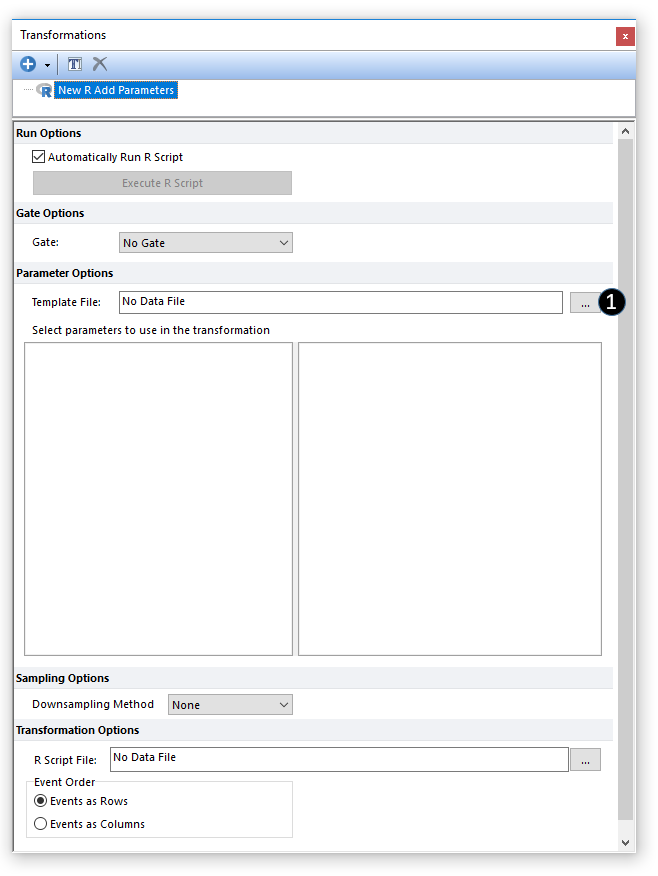 Figure 29.45. The transformation windows populated with a New R Add Parameter transformation.