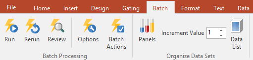 Figure 3.22 Batch tab