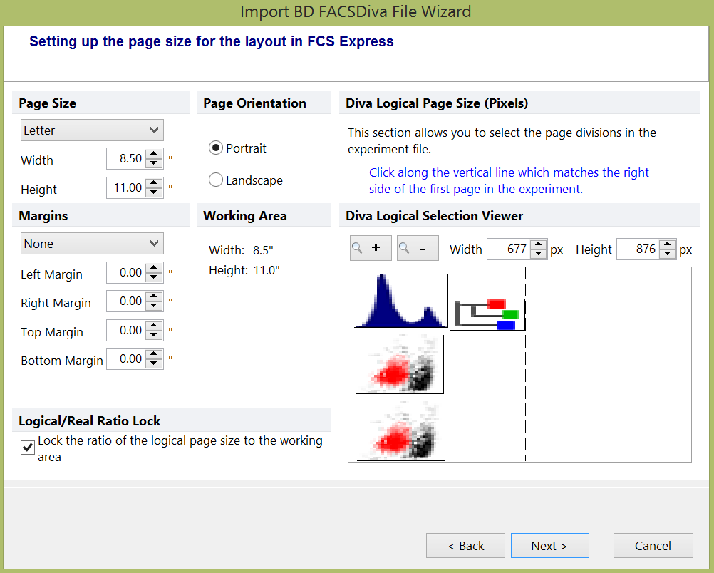 Figure 24.3  Import BD FACSDiva File Wizard - Setting Page Size