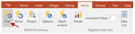 Figure T9.10  Selecting the Run Batch Process Command