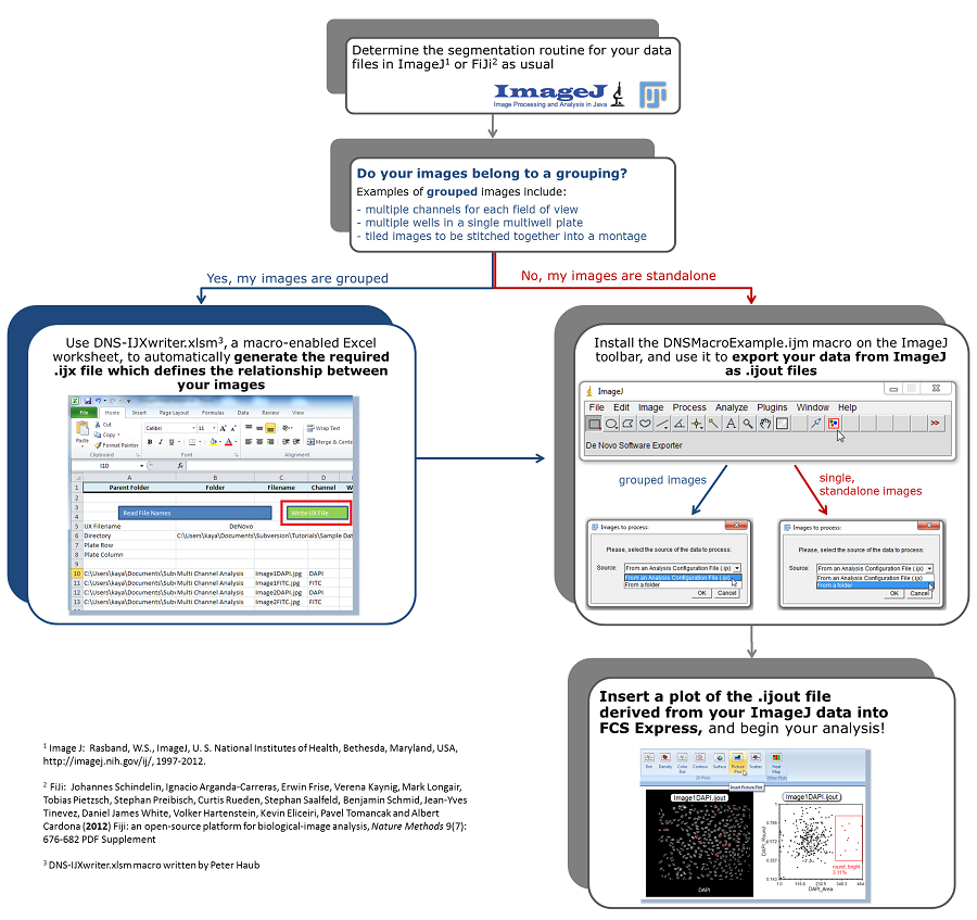Figure T28.116  Workflow for analyzing single  or grouped images segmented in ImageJ within FCS Express