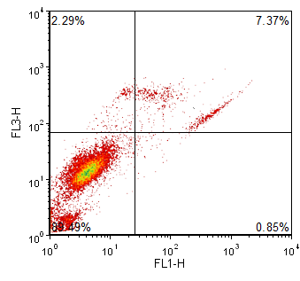 Figure T6.4  Improperly Defined Regions Using Standard Quadrants