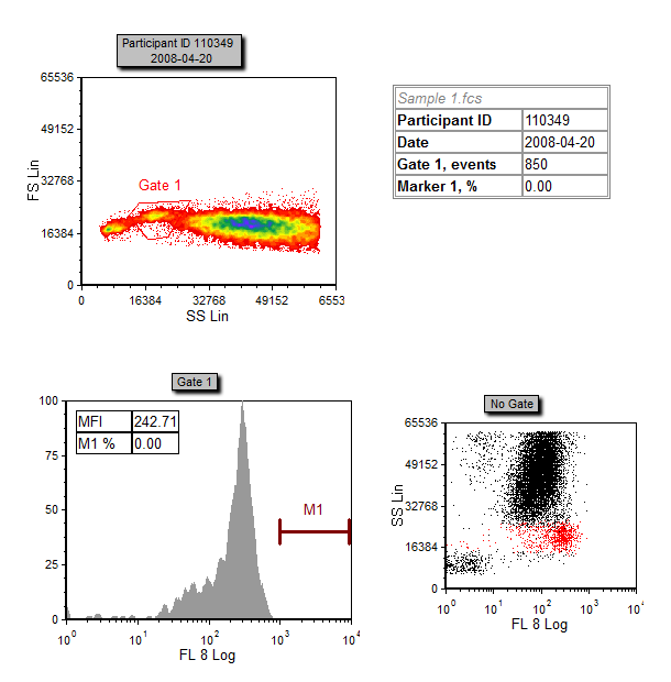 Figure T9.40  Example of the  LabKeyServerExportTutorial.fey layout