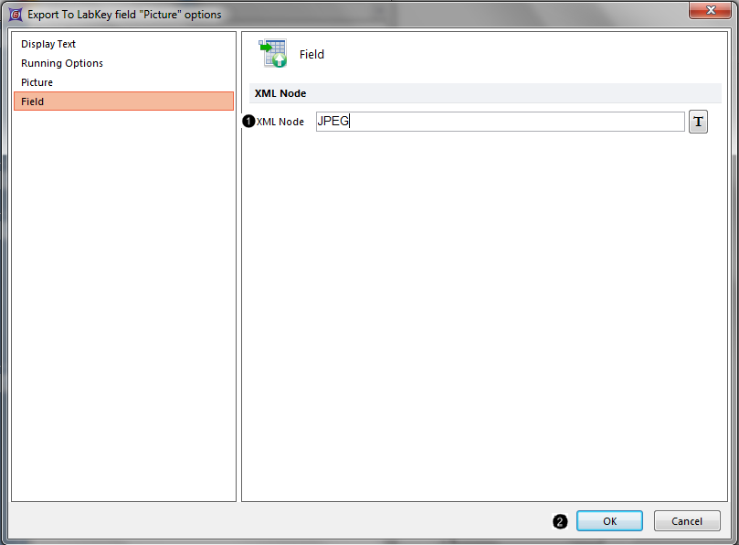 Figure T9.52 Entering text into the XML Node field