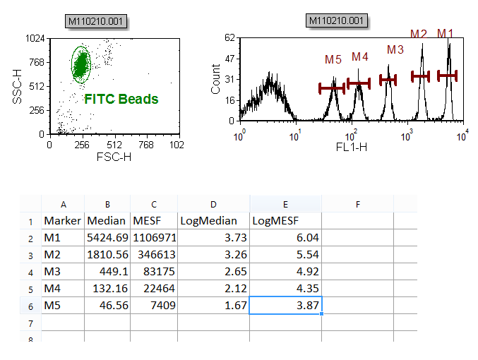 Figure T27.3  The spreadsheet successfully complete.