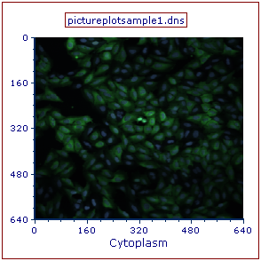 Figure T26.7  Picture Plot Overlay Displaying the Cytoplasmic and DNA Channels as a Merged Image