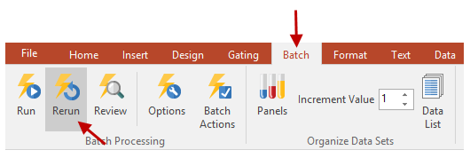 Figure 17 - Rerunning Batch Processing