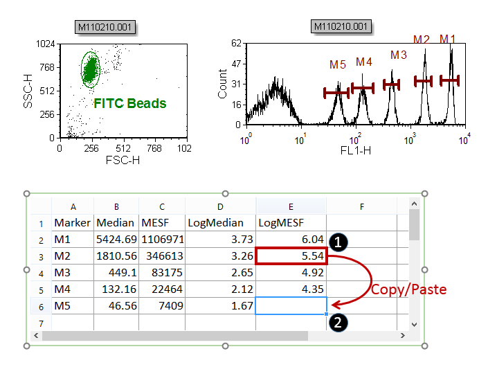 Figure T27.2  Copying and pasting the E3 cell content into the E6 cell to complete the spreadsheet.