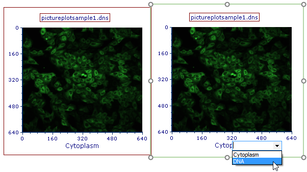 Figure T26.5  Choosing the DNA Imaging Channel