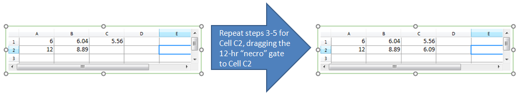 Figure 2.  Populating the Spreadsheet with statistics from the 12-hr treatment plot.