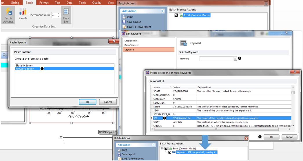 Figure T9.34  Adding a keyword token to the report
