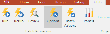 Figure T29.48  Accessing Batch Processing Options