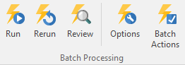 Figure 20.43 Rerun or Review Batch Processing