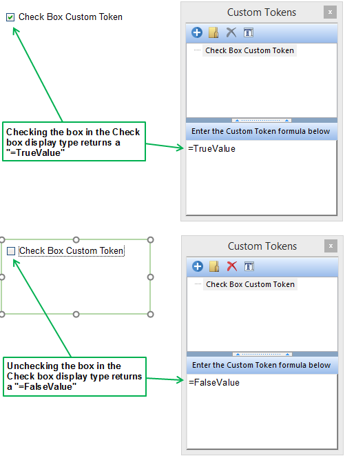 Figure 19.66) Once the box has been checked, the Custom Token returns a "TrueValue" entry for the Custom Token. Unchecking the box returns a "FalseValue" entry for the Custom Token.