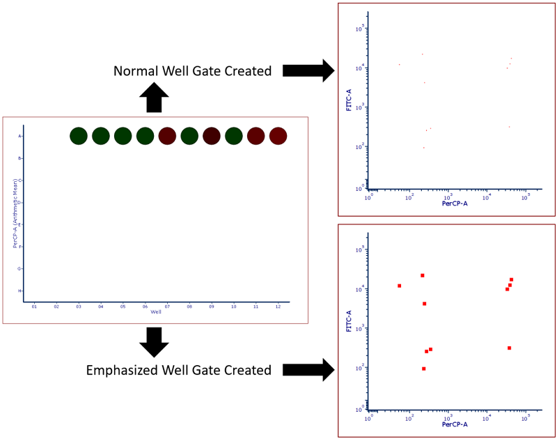 Figure 32.38 Heat map with Well Gate created on all wells. Standard gate is shown above while a gate with the Emphasize on Plots check box checked is shown below.  Note that events highlighted in red fall within the well gate and in this case represent all events that were sorted into the plate making them easier to visualize. 