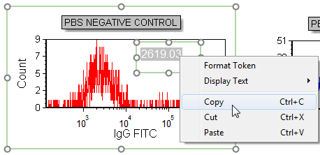 Figure T15.22  Copying a Token Using the Pop-up Menu