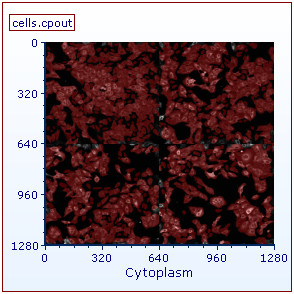 Figure T24.64 The picture plot has been gated on Gate 1, well A01, of the heat map. Four image fields may be observed in the image.