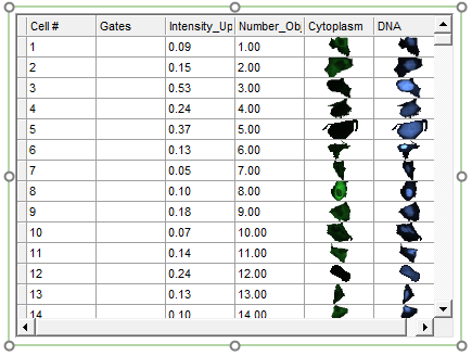 Figure T26.21  Data Grid Displaying the Chosen Parameters, Individual Cell Images, and a Column for Gates