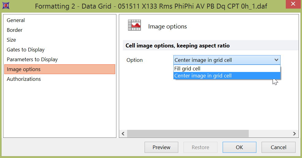 Figure 8.113 Formatting image options in a Data Grid