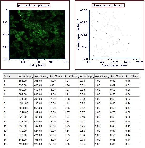 Figure T26.19  A Picture Plot, Data Grid, and Color Dot Plot Arranged on the Layout for Analysis