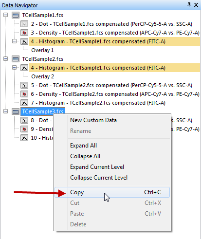 Figure T12.15  Copy Using Data Navigator Pop-up Menu