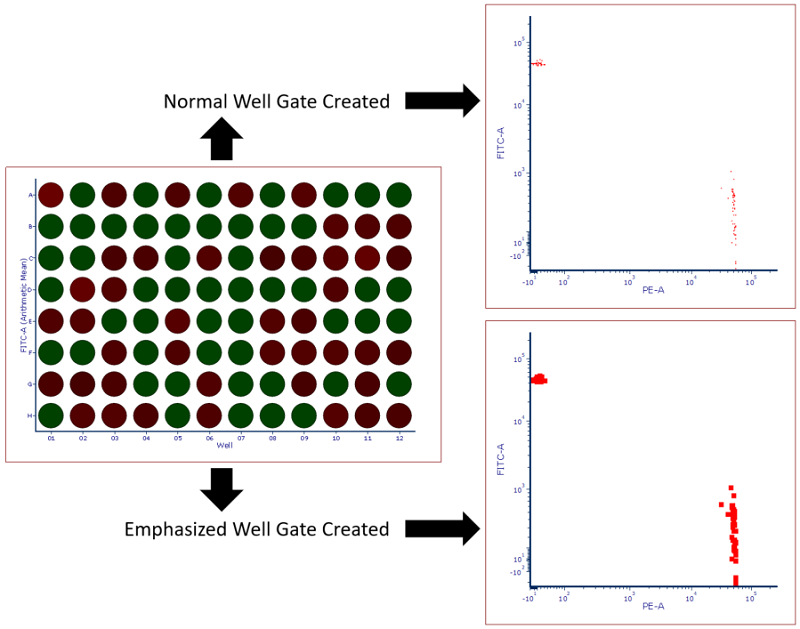 Figure 32.30 Heat map with Well Gate created on all wells. Standard gate is shown above while a gate with the Emphasize on Plots check box checked is shown below.  Note that events highlighted in red fall within the well gate and in this case represent all events that were sorted into the plate making them easier to visualize. 