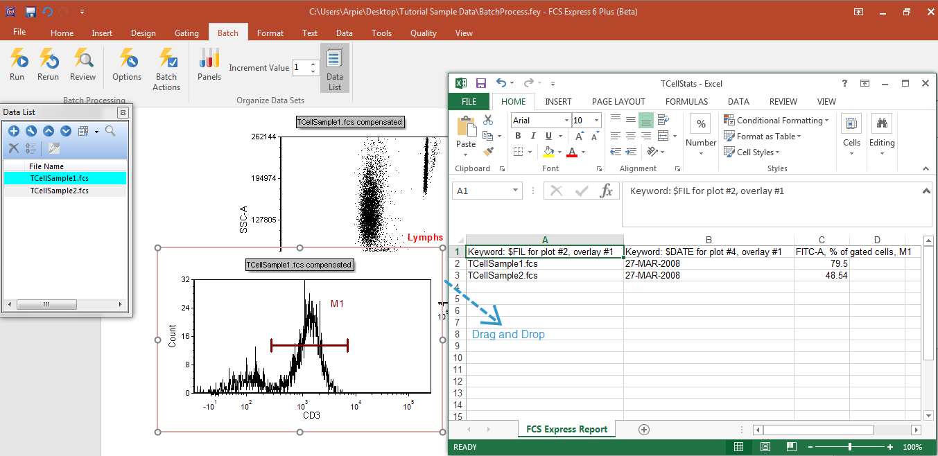 Figure T9.38  Dragging and Dropping a Plot Image from FCS Express to an Excel Spreadsheet