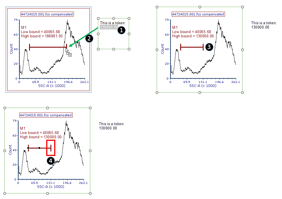 Figure 9.39. The figure shows how to set and lock a marker end point to a token by dragging and dropping the token from a text box.