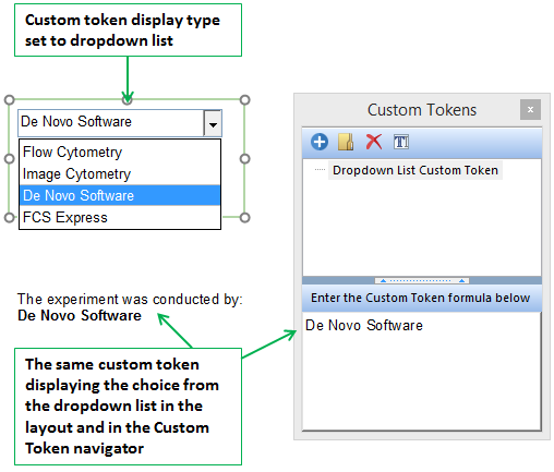 Figure 19.71 The value of "De Novo Software" was chosen from the dropdown list. The value was updated in the Custom Token navigator and also in the secondary text box containing the token.