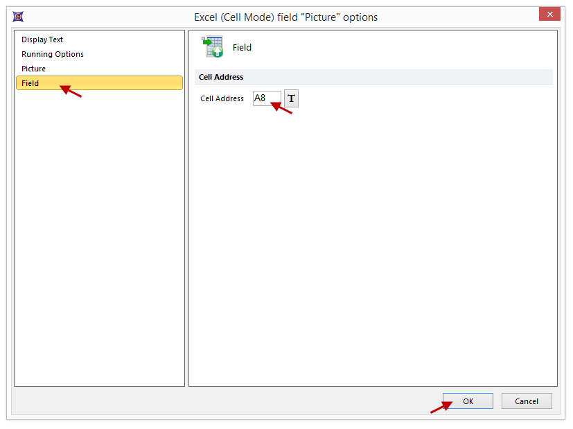 Figure T9.28  Setting the Excel Cell Address for the Picture Field