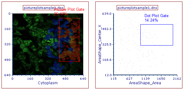 Figure T26.22  Examples of Gates to Create on the Picture and Dot Plots
