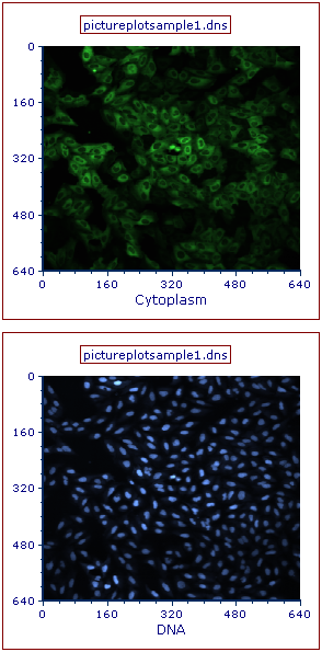 Figure T28.15  Changing the Image Parameter of a Picture Plot