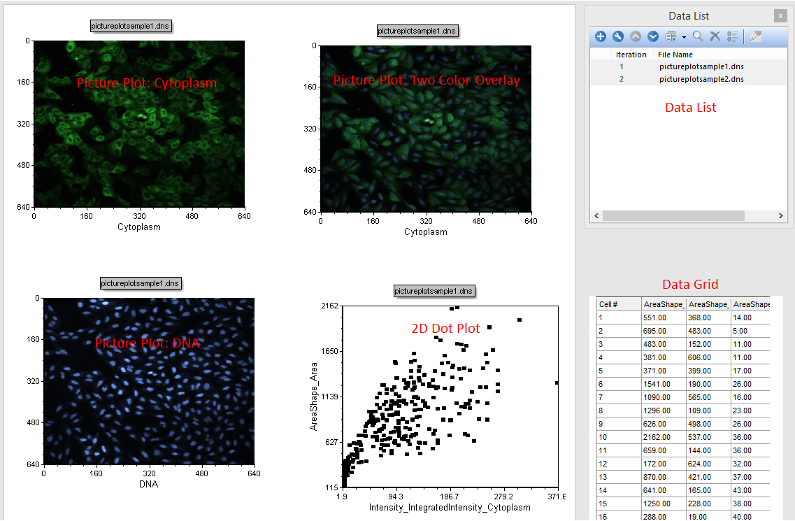 Figure T28.1  Overview of the IntroToImage1.fey layout