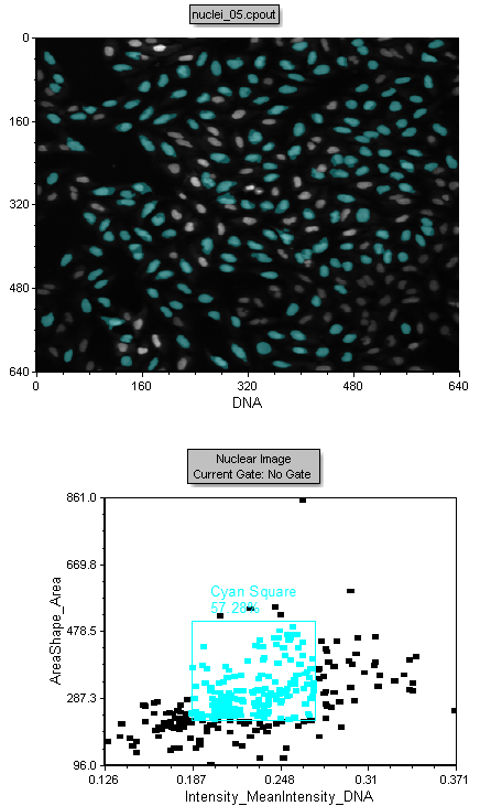 Figure T28.26 Cyan Square Gate and Nuclear Image