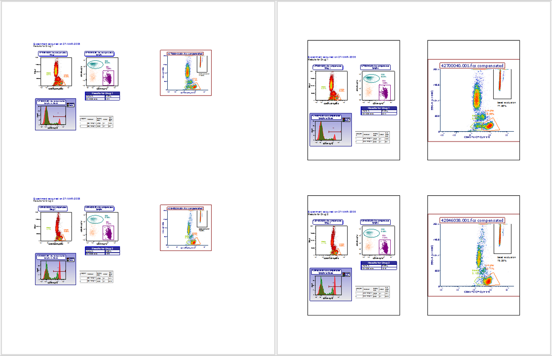 Figure 4.15 Comparison of exports to PowerPoint using preset 4 Pages Horizontal. Left: Frame Page and Crop To Content unchecked. Right: Frame Page and Crop To Content checked 