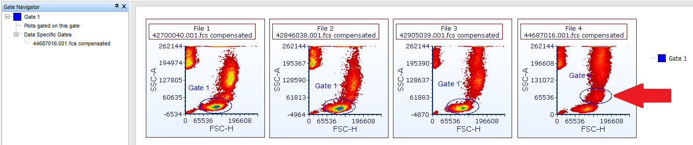 Figure 9.12 - An example of a data file specific gate for Gate 1 that has been made Data File Specific for File 4.