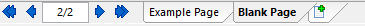 Figure T28.11   Selecting the Blank Page Tab