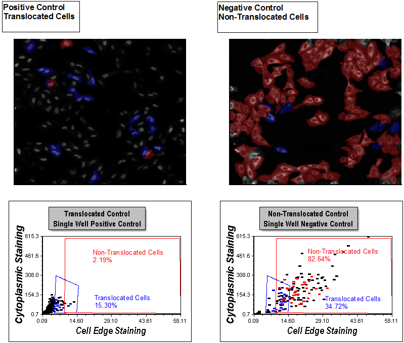 Figure T28.44   All Plots Update Following Repositioning of Translocated Cells Gate