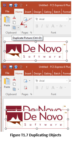 Duplicating Objects