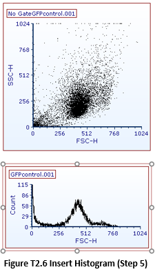 Inserting Histo 1 step 4