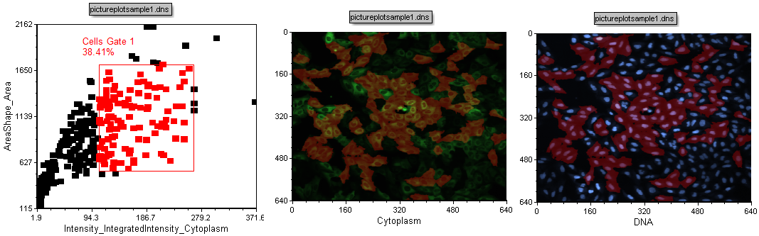 Figure T28.8  Highlighting of Cells Included in Cells Gate 1