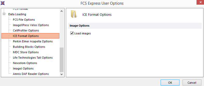 Figure 8.53  ICE Format options